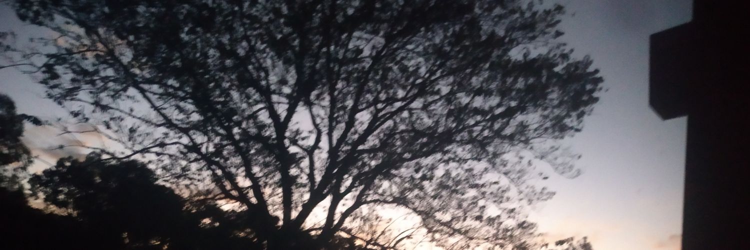 williancavalari's profile banner image