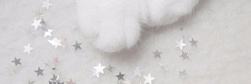 _agentromanoffs's profile banner image