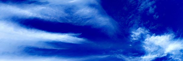 FrankChloe Profile Banner