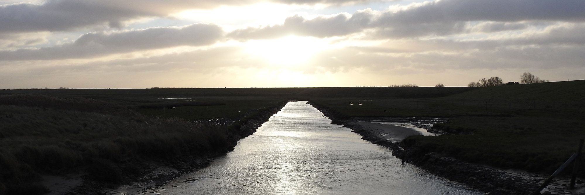Zwin Natuur Park banner