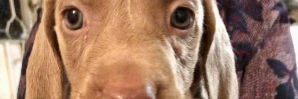 LeeMvz's profile banner image