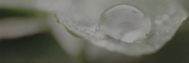 Ork_blue's profile banner image
