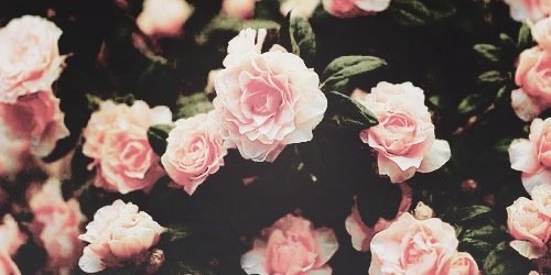 xChrisTrines's profile banner image