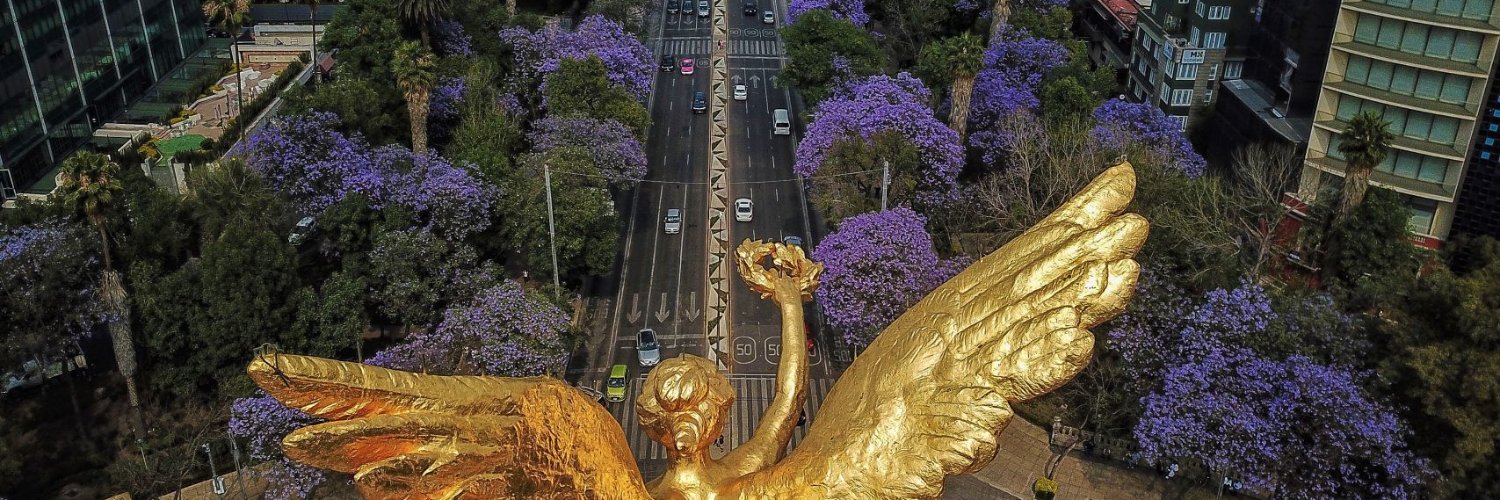 mileniodiario's profile banner image