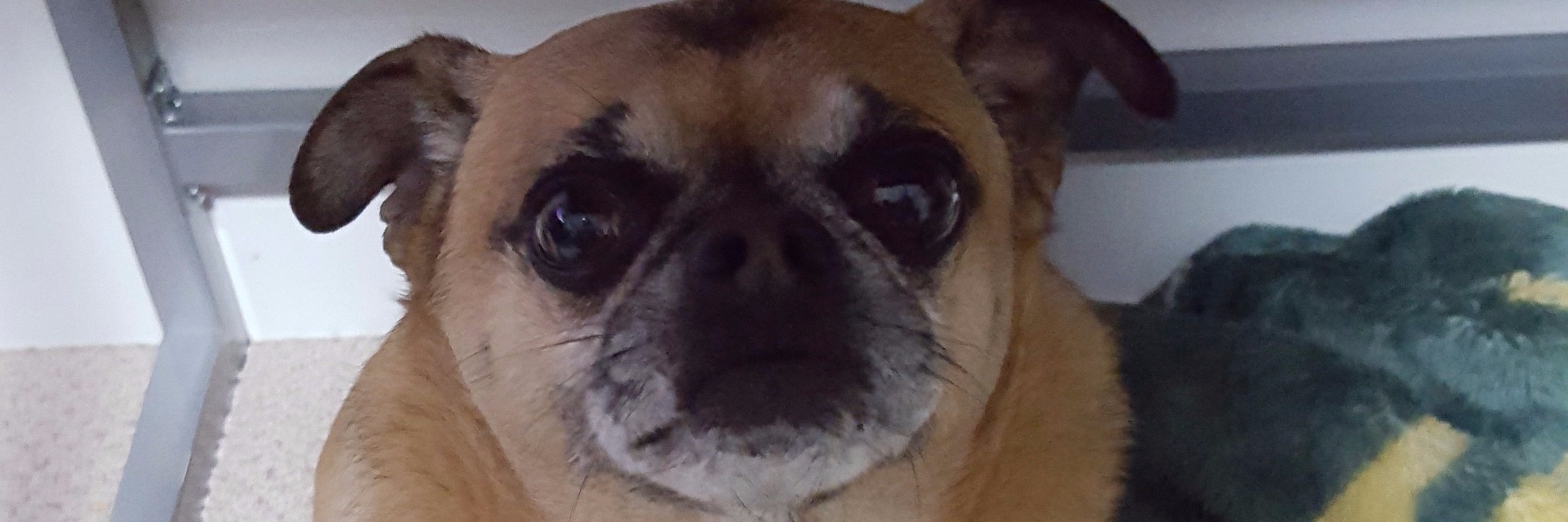 IzaachP's profile banner image