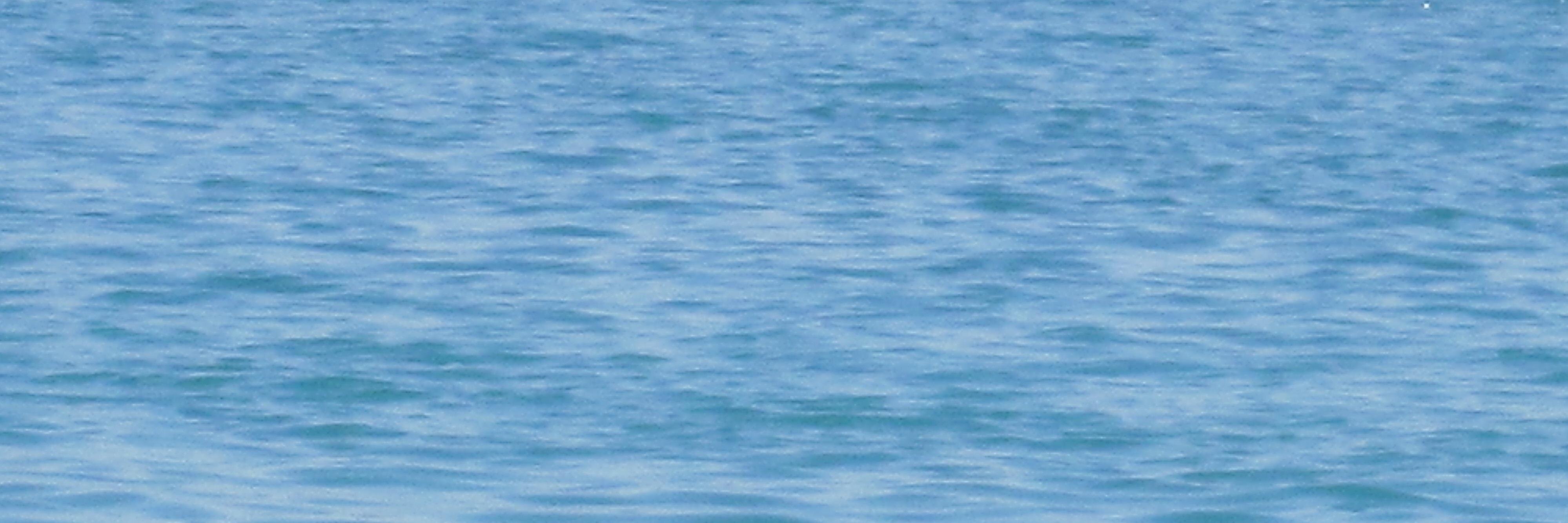 holmberg69's profile banner image