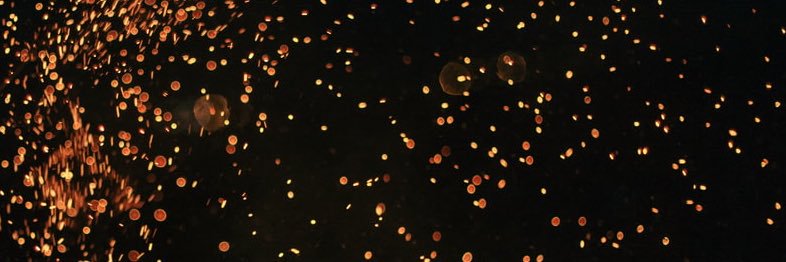 Ms_MaD_A's profile banner image