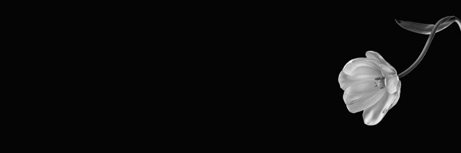 Youto's profile banner image