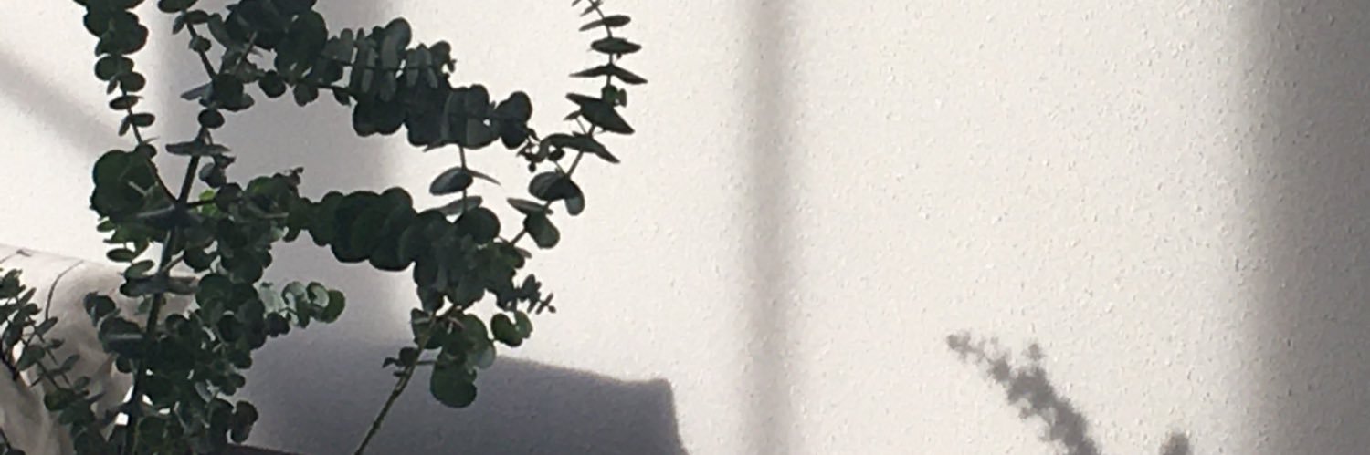 vanrooijlaure's profile banner image