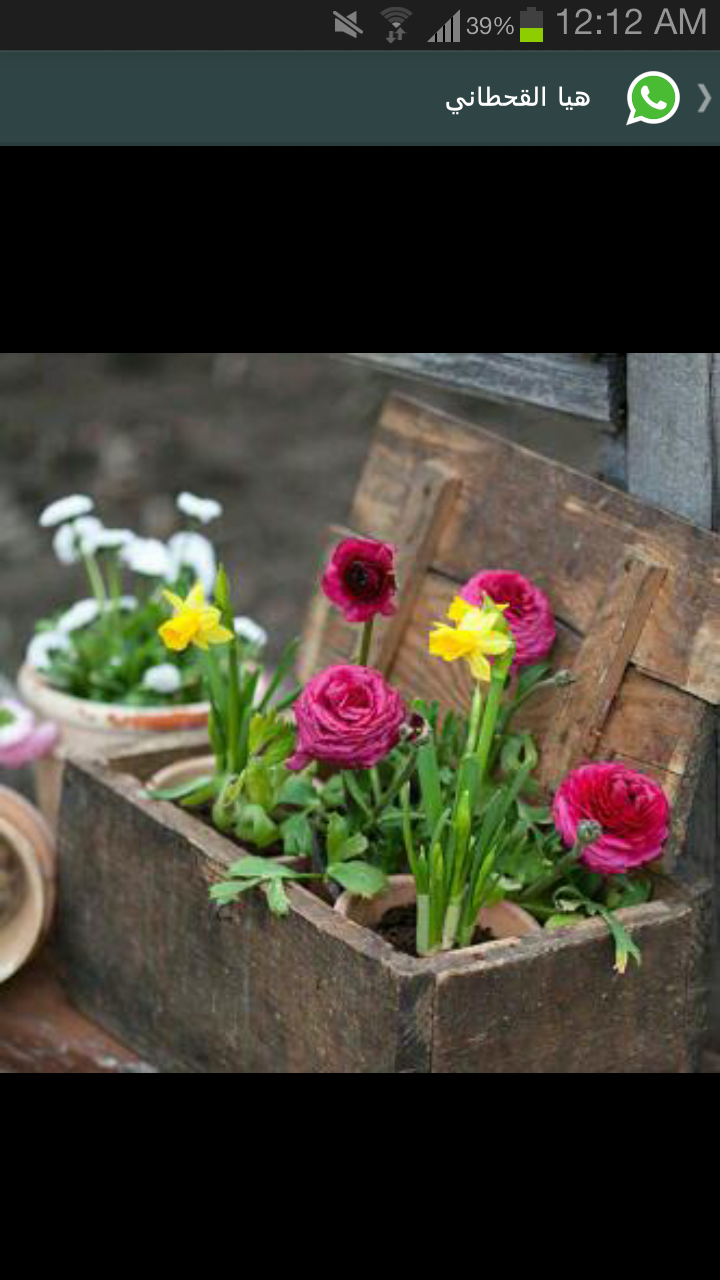 GhadaAbdullah7's profile banner image