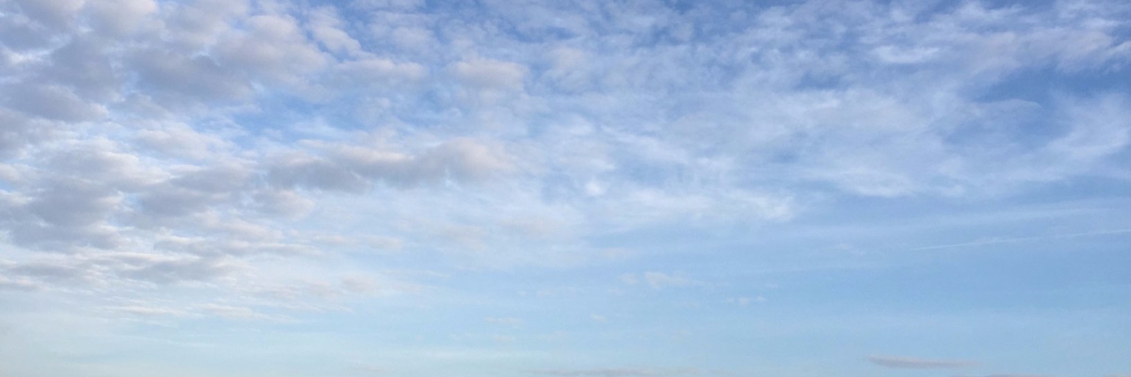 ImogenEmms's profile banner image