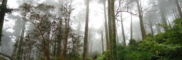 SnoeC Profile Banner