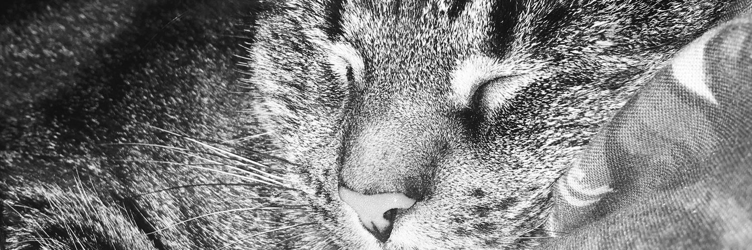 swrache's profile banner image