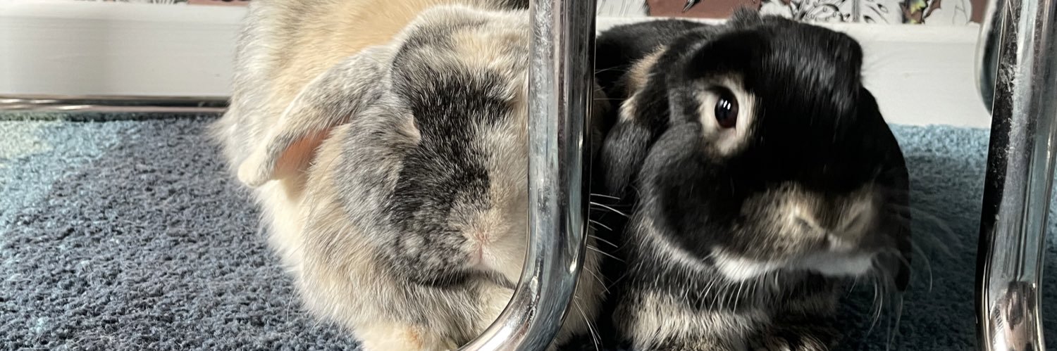 Sluphie's profile banner image