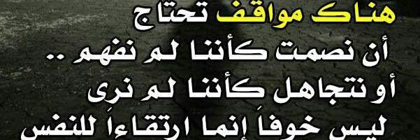 rajaalkoussa's profile banner image