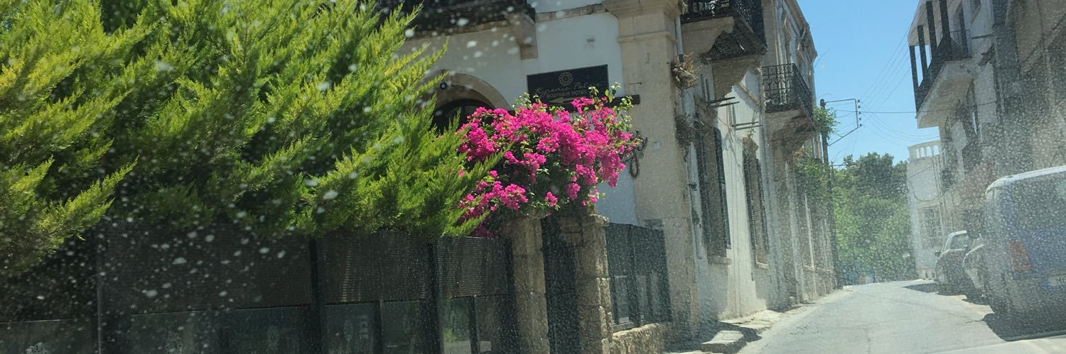neslibaykal's profile banner image