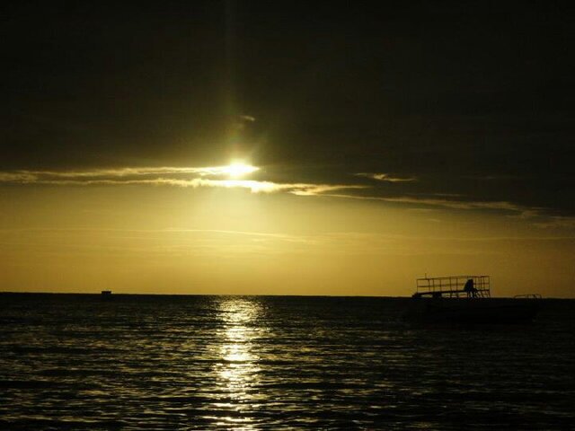 Motherofdocean's profile banner image