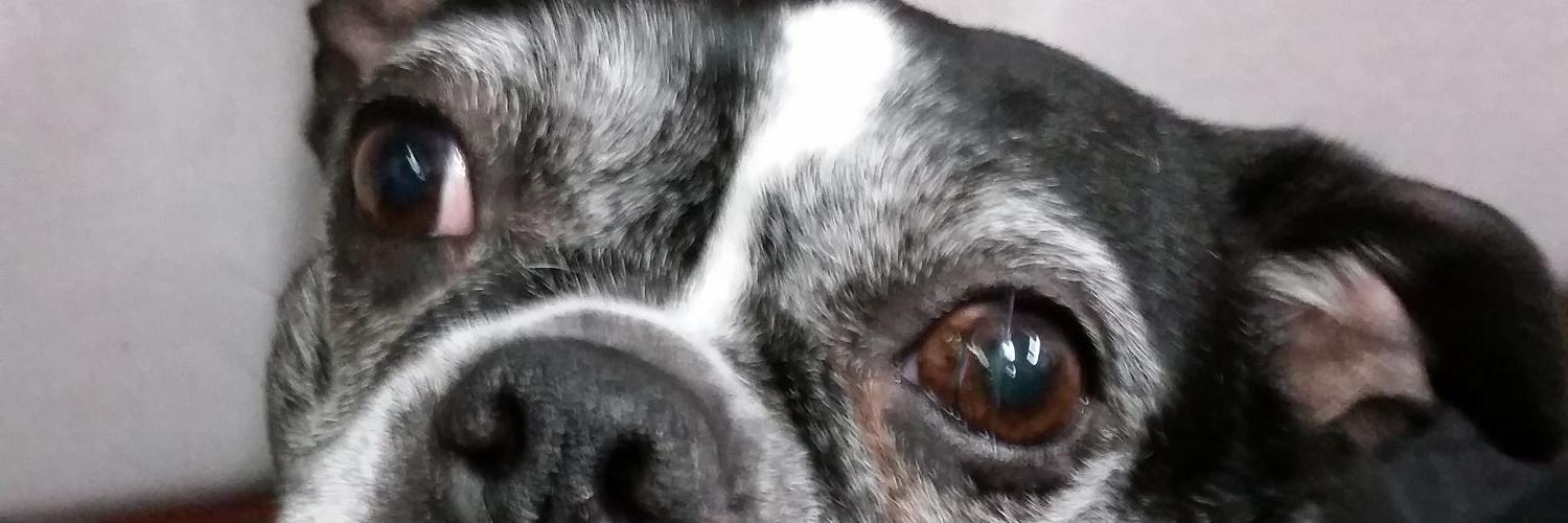 cassaroooo's profile banner image