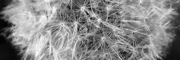 MattinsonP Profile Banner