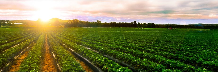 Grow: Plant Health Exchange banner