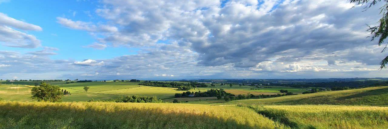 Dominique Faure banner