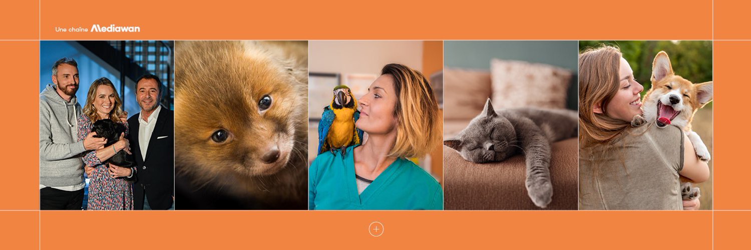Animaux TV Profile Banner
