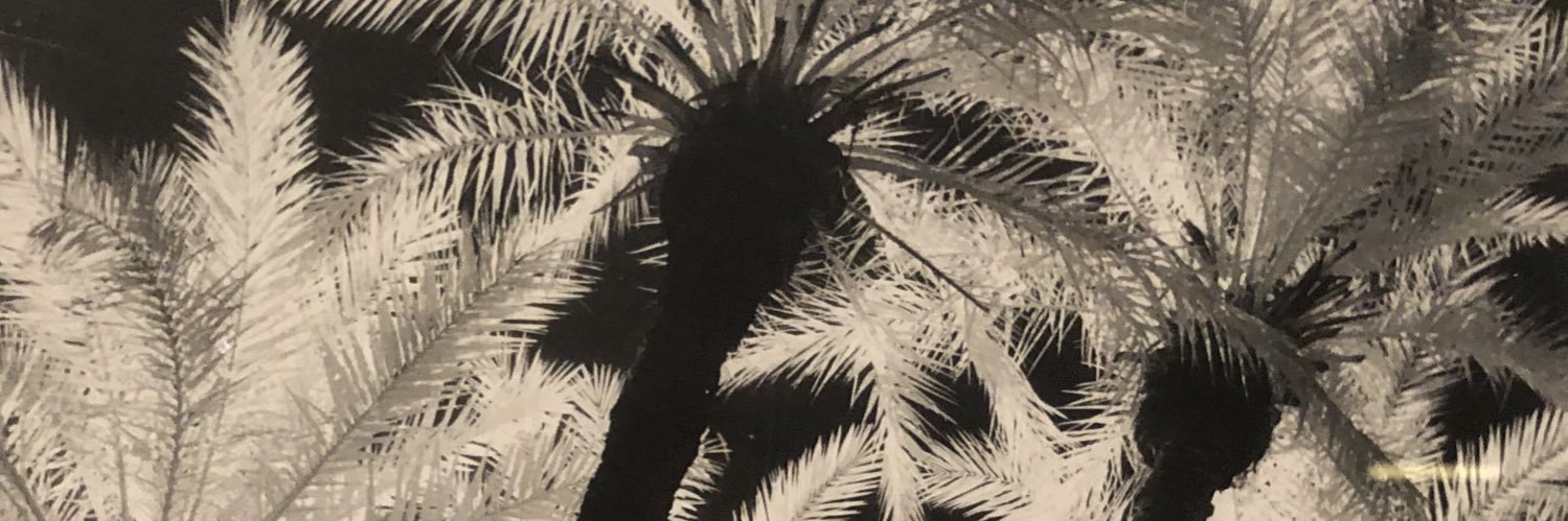camaposa's profile banner image