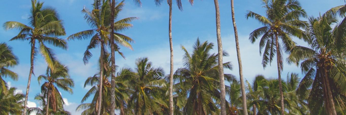 msolzaa's profile banner image
