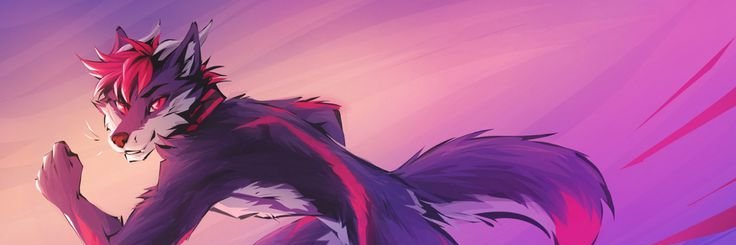 bilkees1786's profile banner image