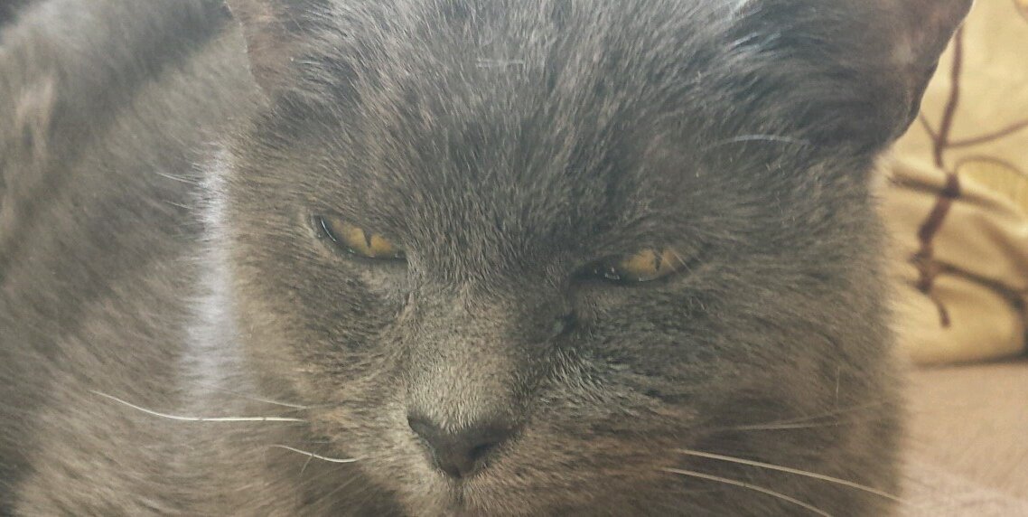 KateOwen17's profile banner image