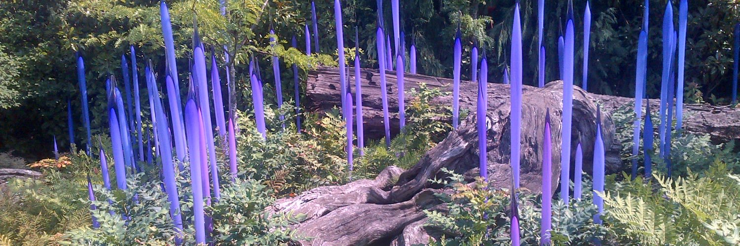 Simon Kaston 💙 banner