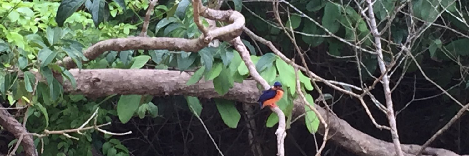 Helen Chatterjee banner