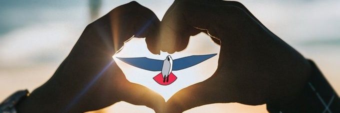 woutschaap1's profile banner image