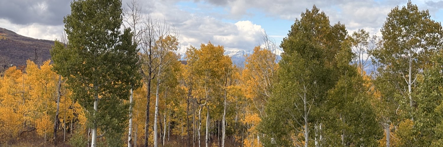 Jerry North banner