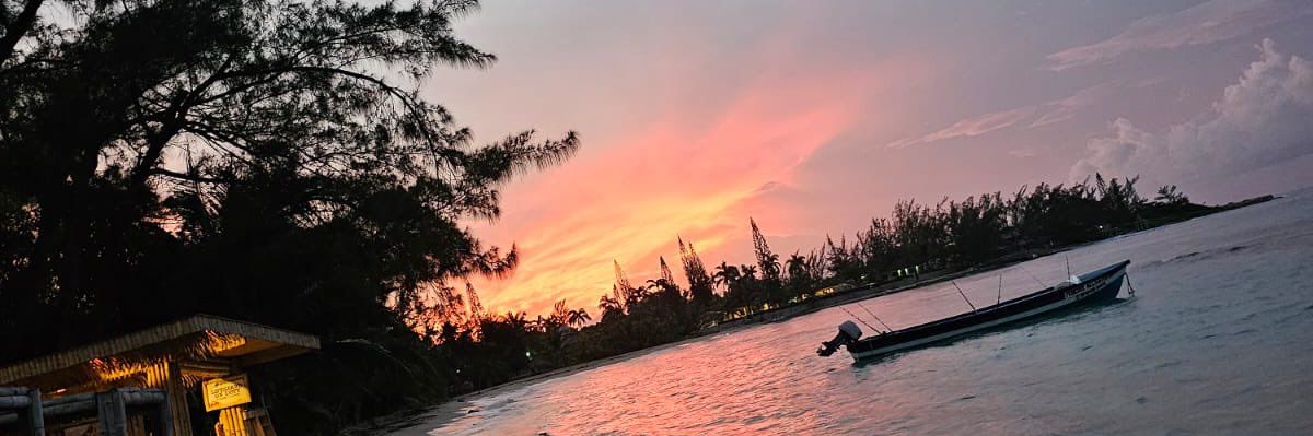 ceebee592's profile banner image