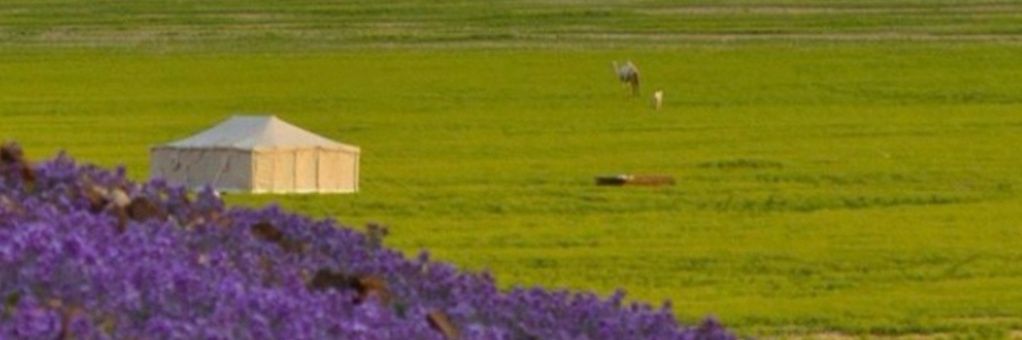 unstoppable6363's profile banner image