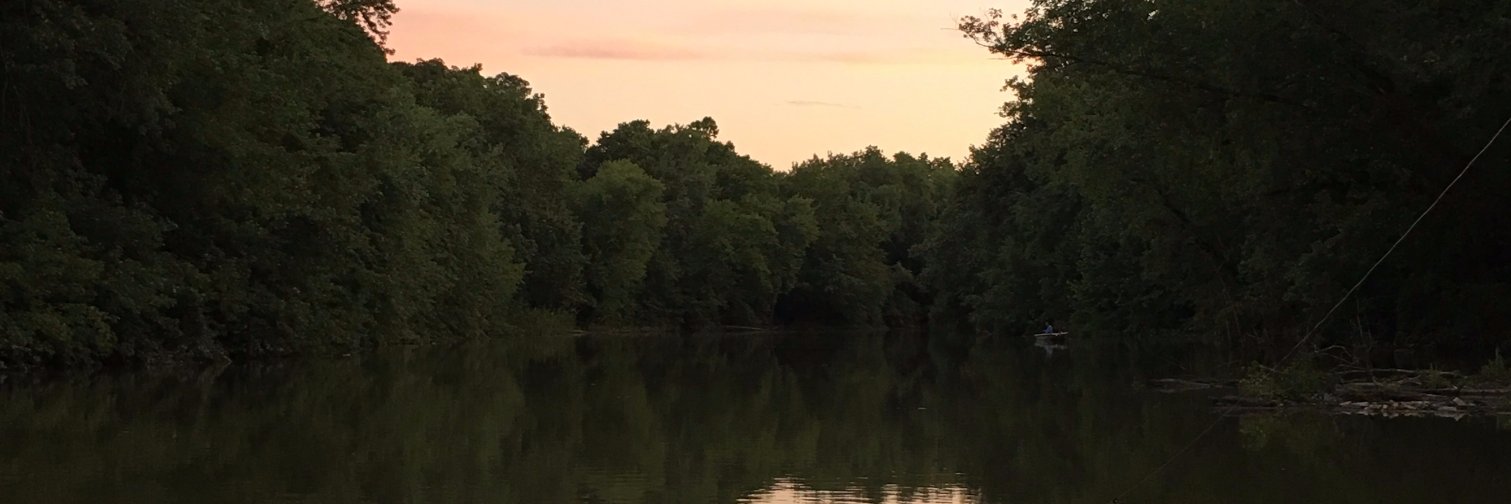 amyjo44's profile banner image