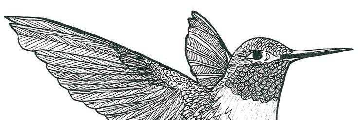 Birdmaster Kevin banner