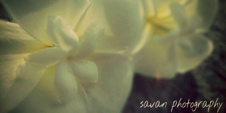 savan_rao's profile banner image