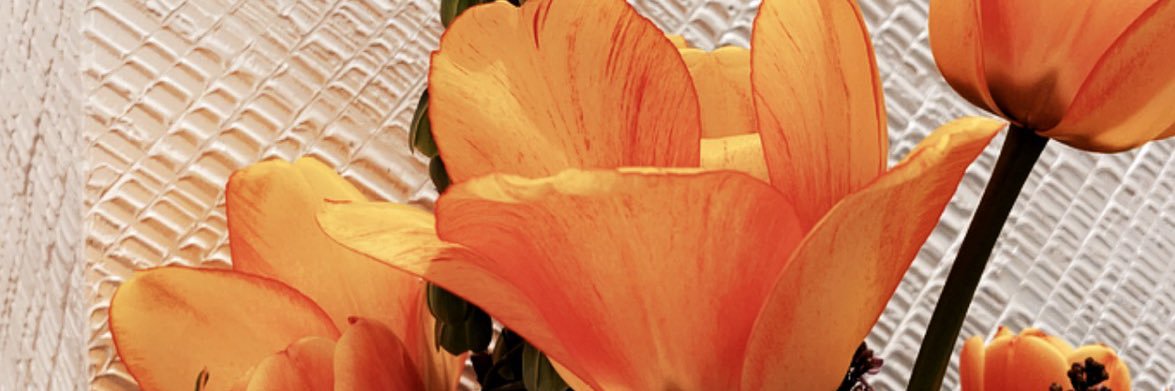HSS7M's profile banner image