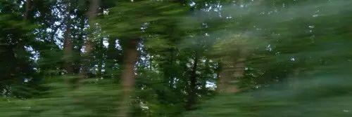 iperfdirection's profile banner image