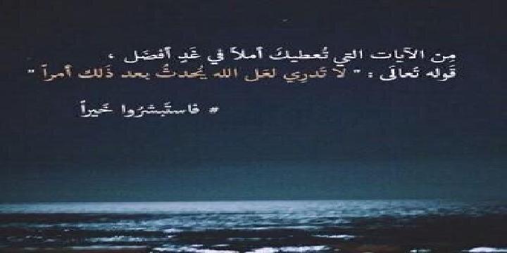 zayedhyy19's profile banner image