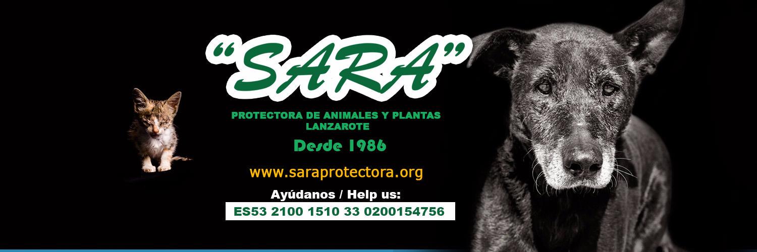 SARALanzarote's profile banner image