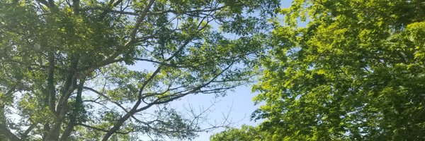 obeniflah Profile Banner