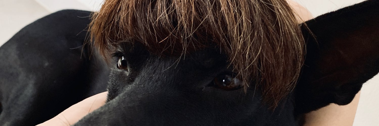 MathildaMajalap's profile banner image
