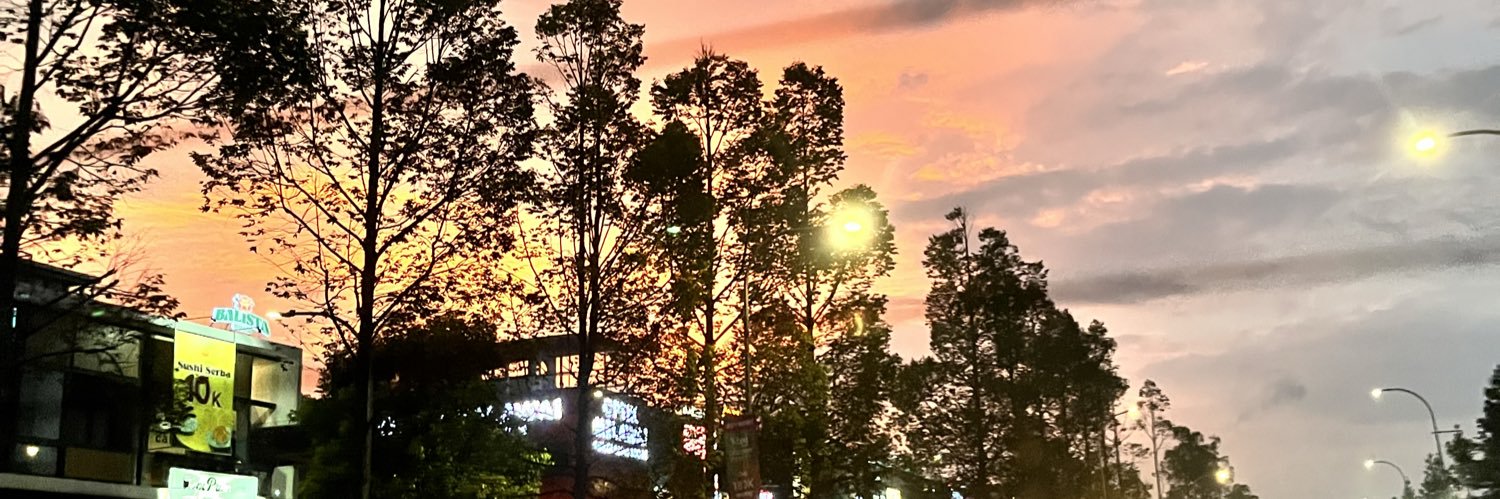 dhelina_'s profile banner image
