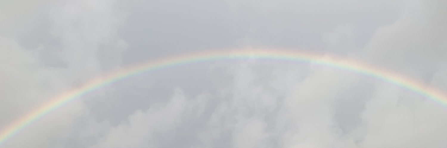cboyster's profile banner image