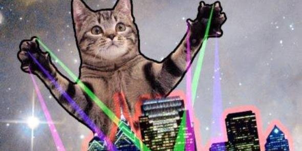 MissDaubs's profile banner image