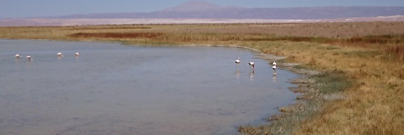 joalligier's profile banner image