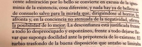 nnistopia Profile Banner